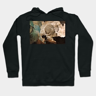 Carlsbad Caverns Study 21 Hoodie